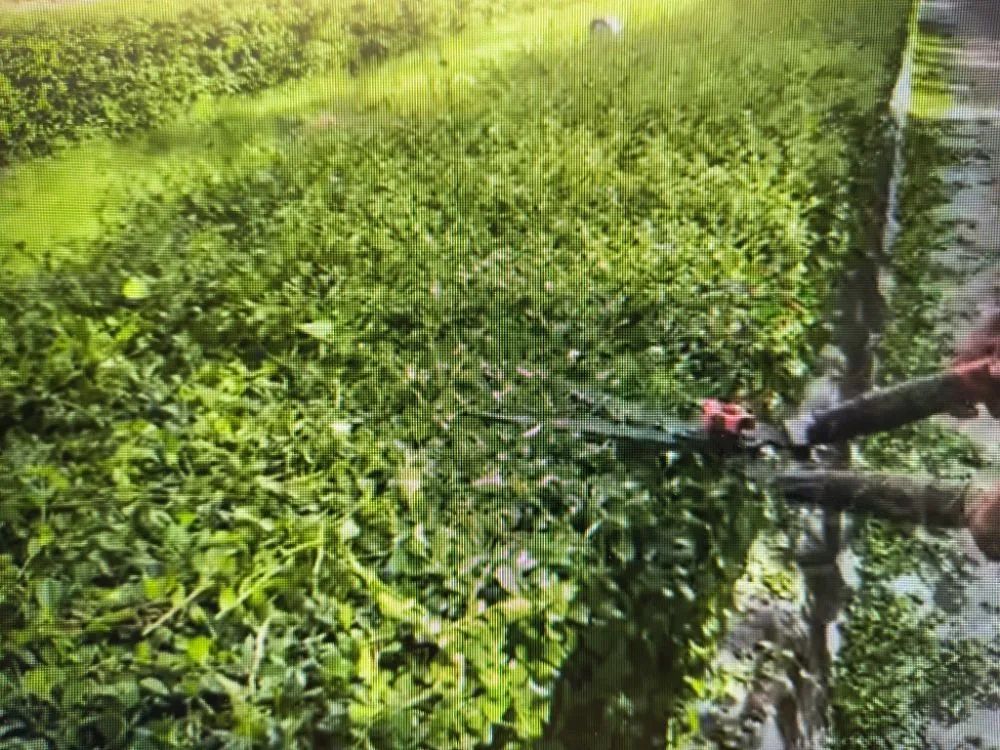 Custom landscape installation experts serving Madison, WI - On Time Helping Hands