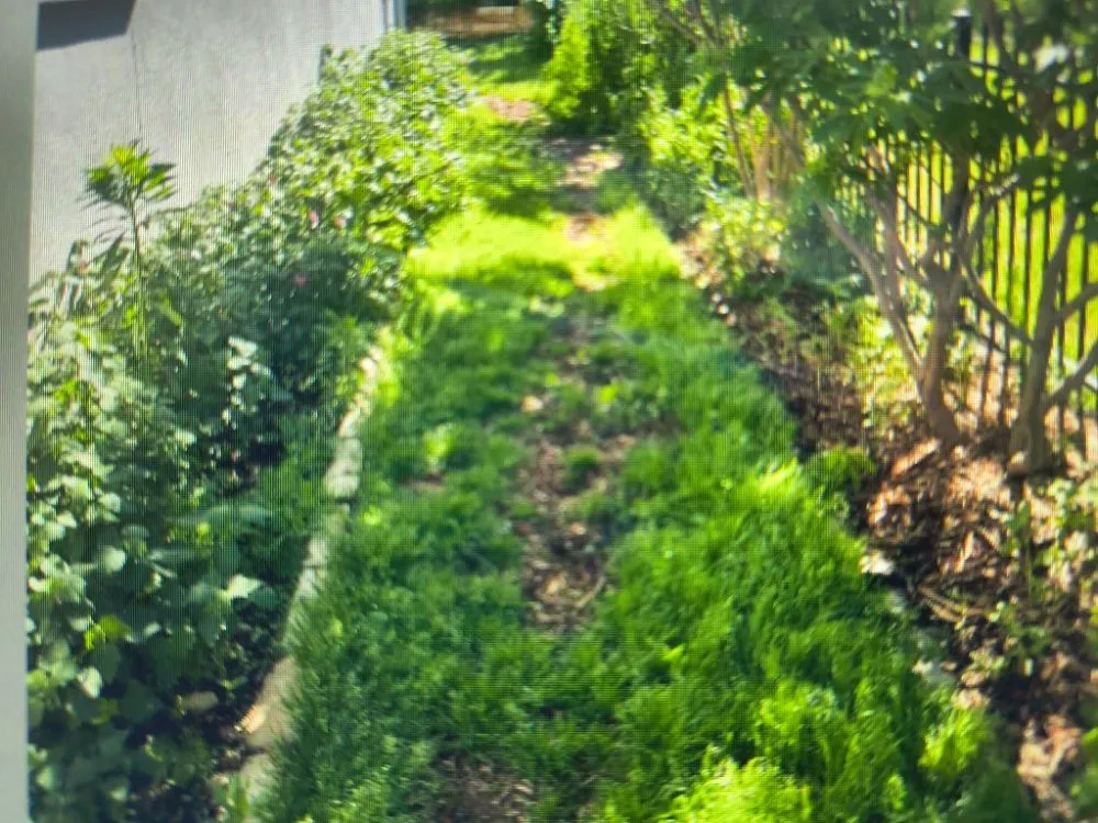 Trusted residential landscaping for outdoor upgrades across Madison, WI - On Time Helping Hands