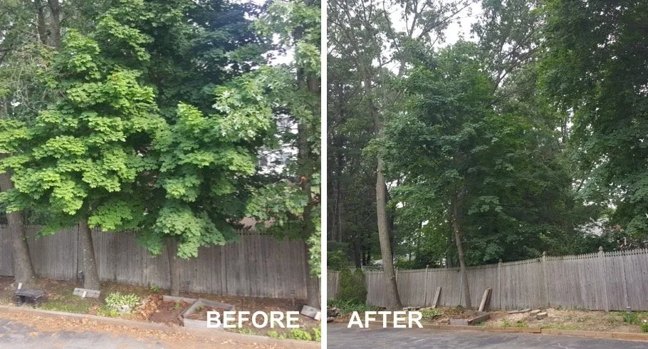 Expert landscaping services for outdoor upgrades in Madison, WI by On Time Helping Hands