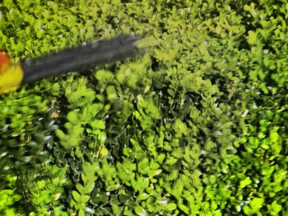 Expert landscape design for year-round maintenance in Madison, WI by On Time Helping Hands