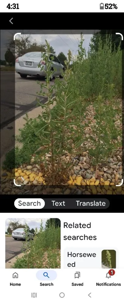 Affordable lawn care service for residential properties in Madison, WI by On Time Helping Hands