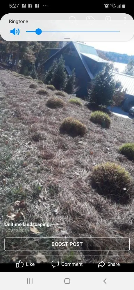 Professional yard cleanup service in Greenville, SC - On time landscaping