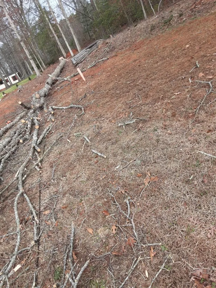 Reliable landscape design in Greenville, SC by On time landscaping