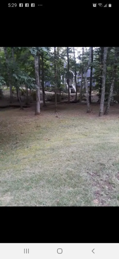 Local landscape design for residential properties in Greenville, SC by On time landscaping