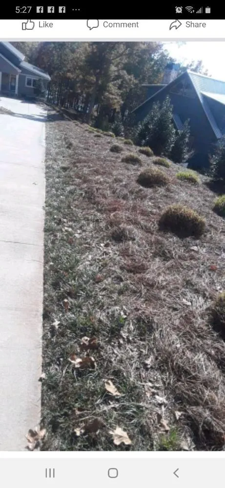 Top-rated landscaping services with custom design in Greenville, SC by On time landscaping