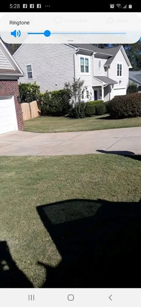 Expert yard cleanup service in Greenville, SC by On time landscaping