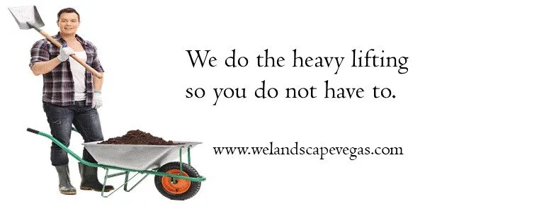 Custom outdoor landscaping in Las Vegas, NV by On Time Landscaping