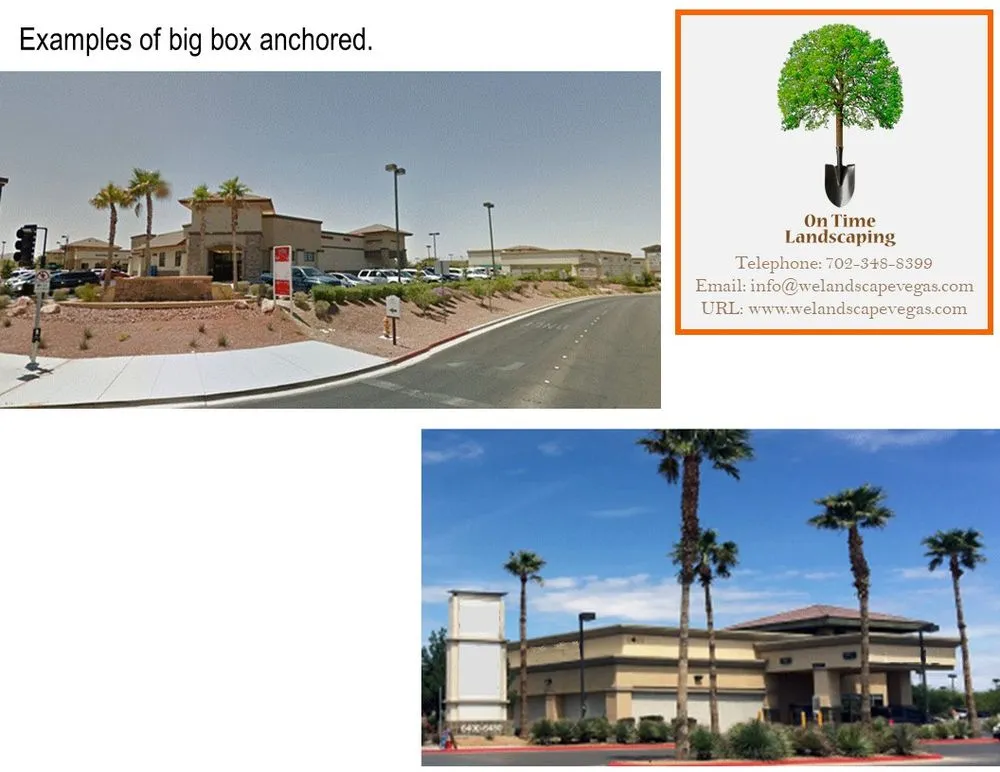 Top-rated yard cleanup service for beautiful yards in Las Vegas, NV by On Time Landscaping