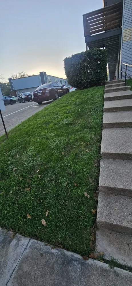 Expert lawn mowing service in Plano, TX by On Time Landscaping