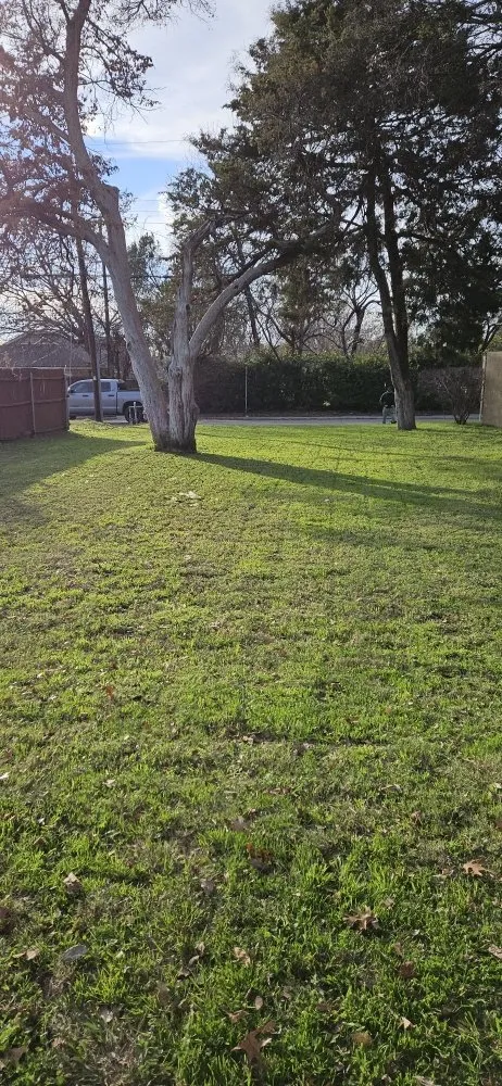 Custom lawn mowing service experts serving Plano, TX - On Time Landscaping