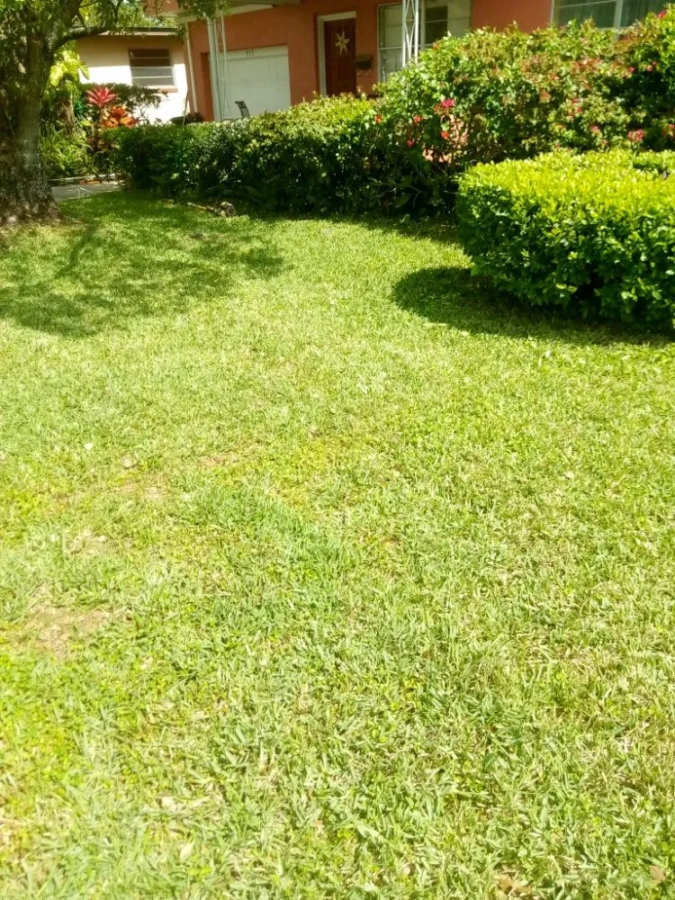 Local outdoor landscaping for outdoor upgrades across Daytona Beach, FL - On Time Lawn Care by JG