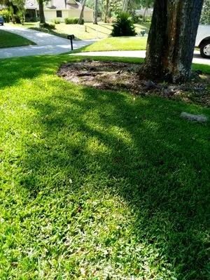On Time Lawn Care by JG Logo