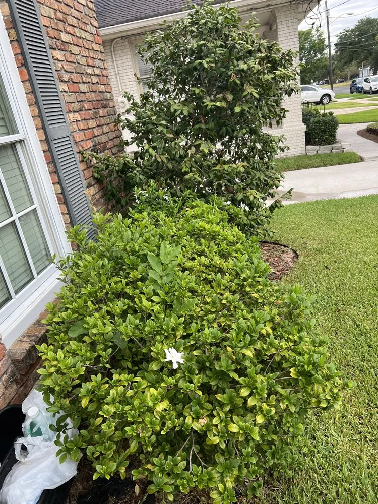 Local garden landscaping for year-round maintenance across River Ridge, LA - On Time Lawn Services