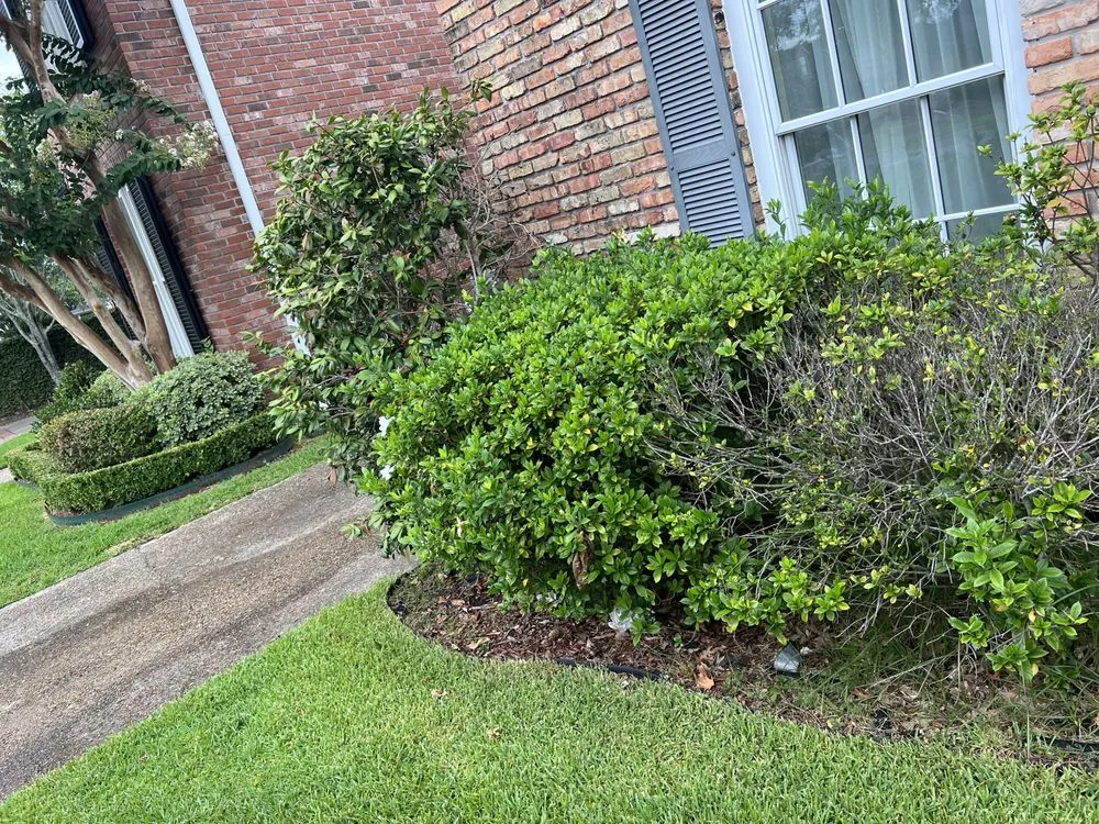 Top-rated yard maintenance experts serving River Ridge, LA - On Time Lawn Services