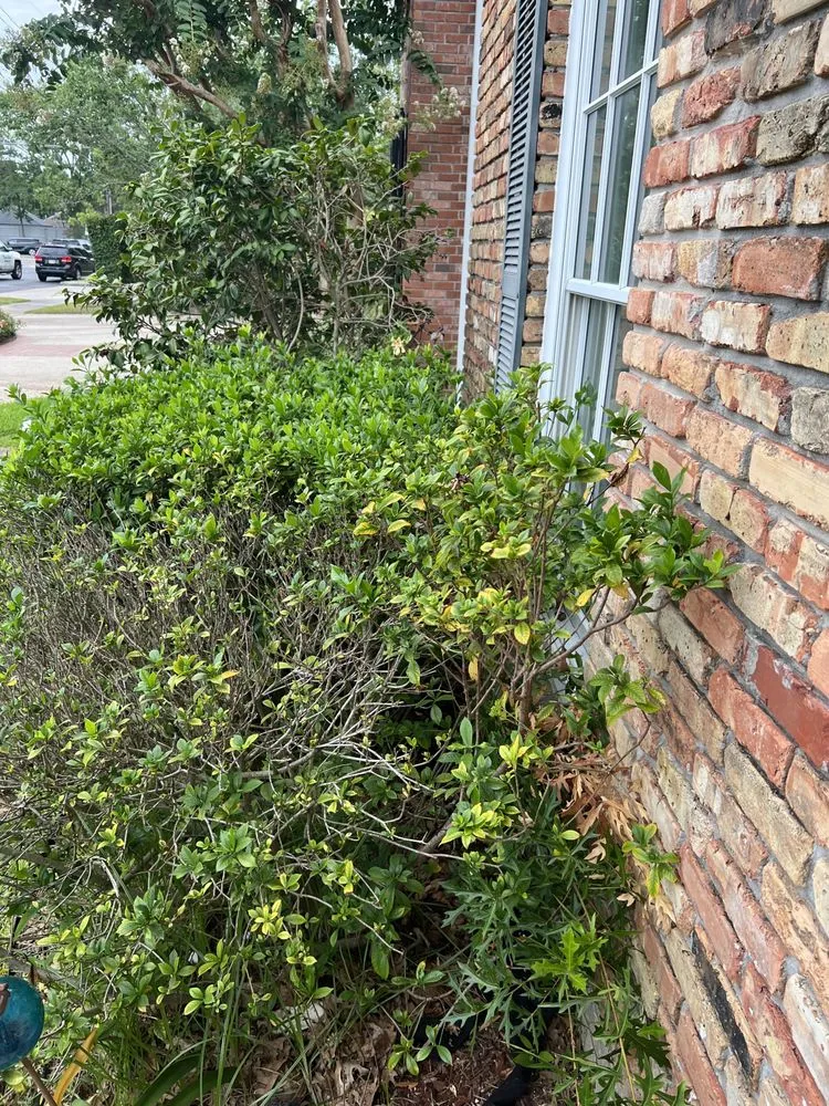 Expert residential landscaping for beautiful yards across River Ridge, LA - On Time Lawn Services