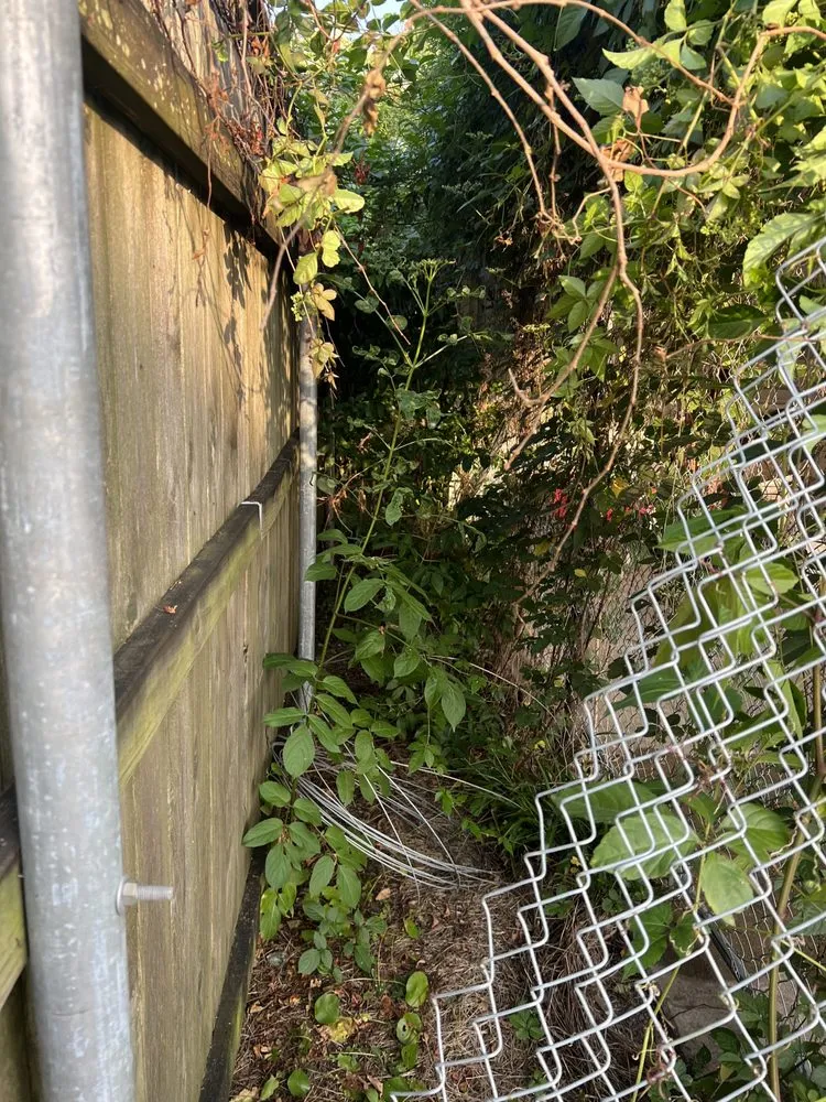 Affordable landscaping services experts serving River Ridge, LA - On Time Lawn Services