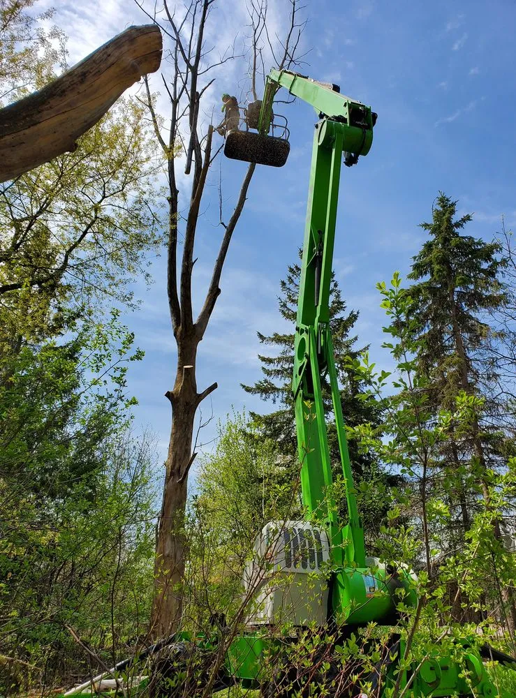 Expert lawn mowing service for year-round maintenance in Rosemount, MN by On Time Tree Service