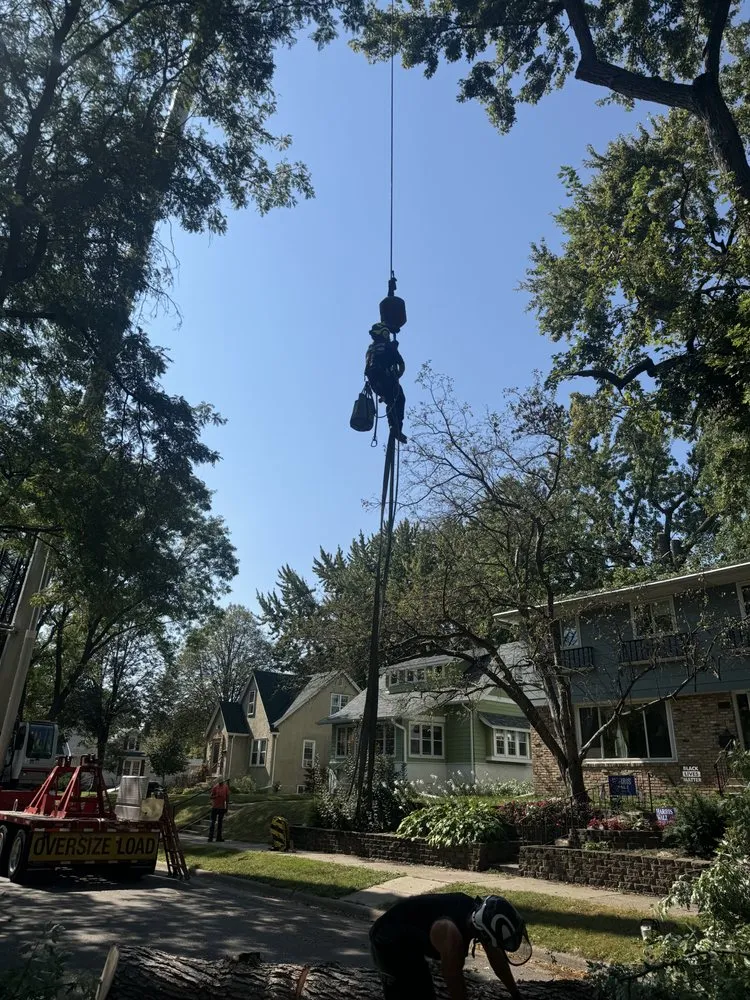 Expert garden landscaping in Rosemount, MN - On Time Tree Service