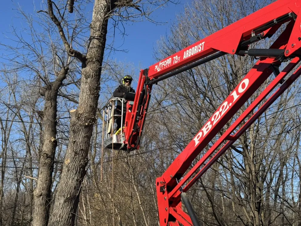 Local landscape installation in Rosemount, MN - On Time Tree Service