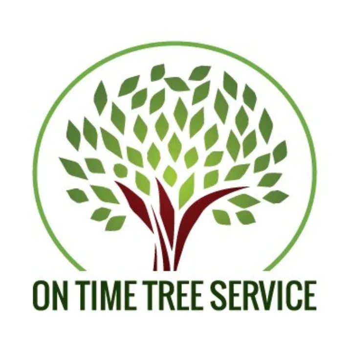 Reliable yard cleanup service experts serving Rosemount, MN - On Time Tree Service