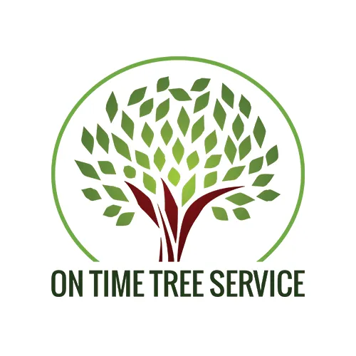 Trusted outdoor landscaping in Rosemount, MN by On Time Tree Service