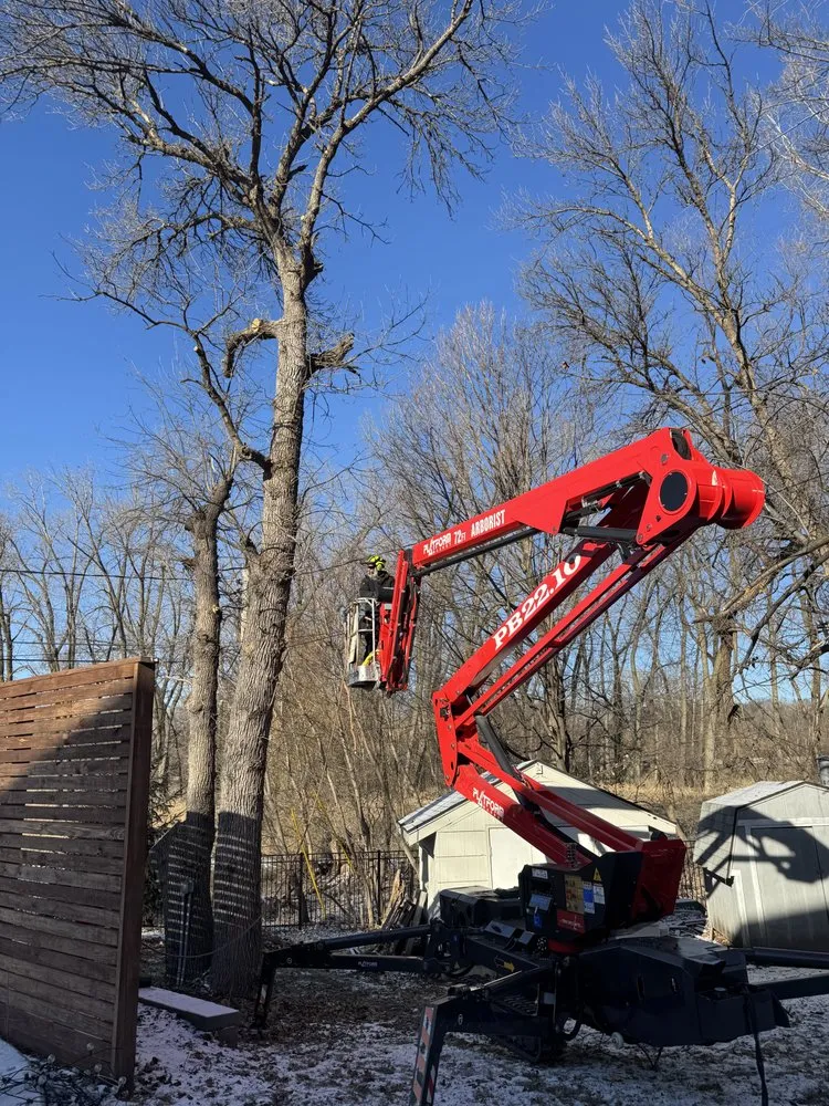 Reliable lawn mowing service experts serving Rosemount, MN - On Time Tree Service