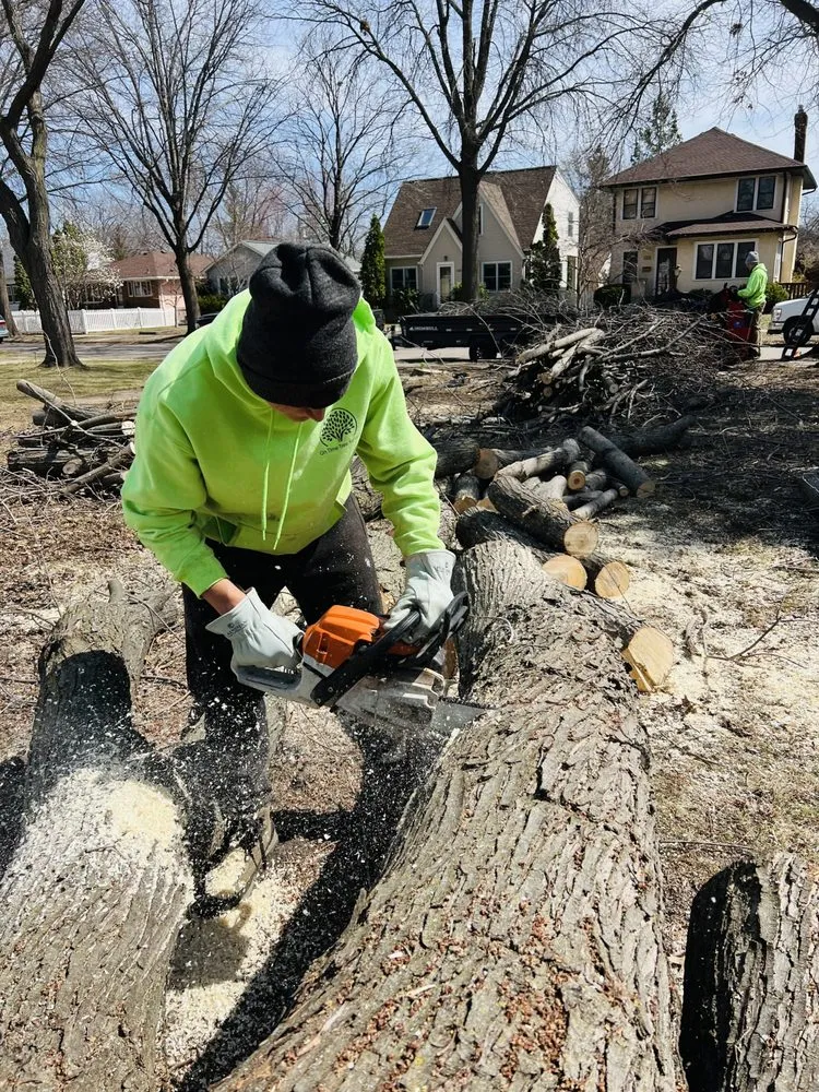 Local yard cleanup service for year-round maintenance across Rosemount, MN - On Time Tree Service