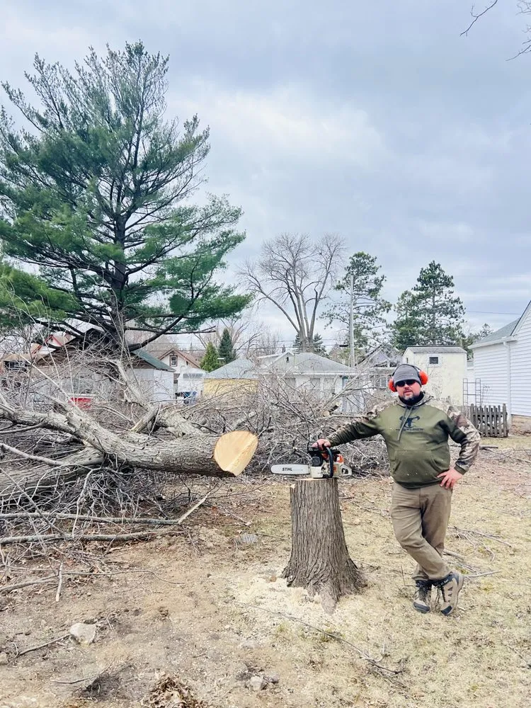 Professional yard cleanup service experts serving Rosemount, MN - On Time Tree Service