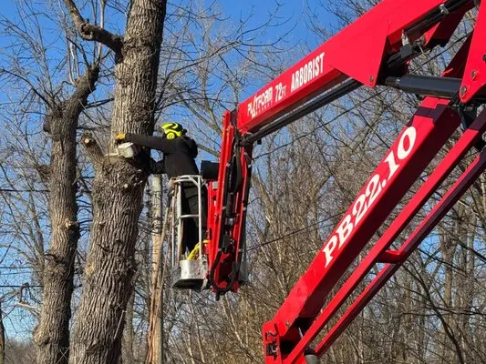 On Time Tree Service Logo