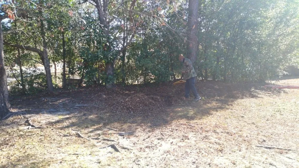 Custom residential landscaping for year-round maintenance across Burgaw, NC - On top of it