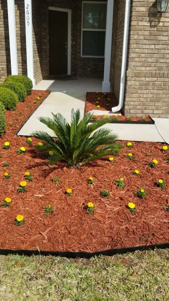 Professional yard cleanup service in Southport, FL by On Track Lawn Care