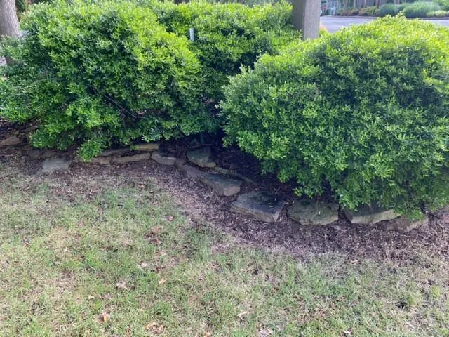 Expert lawn care service in Jonesboro, AR by Ond Landscape