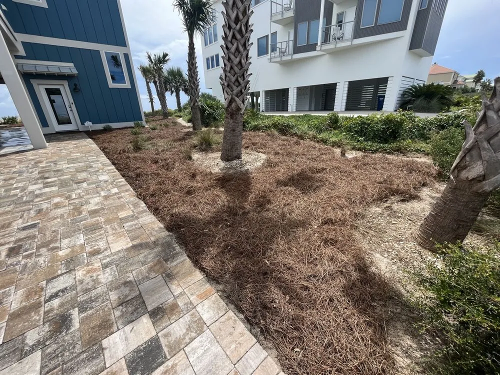 Trusted yard cleanup service experts serving Port St Joe, FL - OnDeck Landscapes