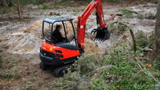 Local landscaping services in Port St Joe, FL by OnDeck Landscapes