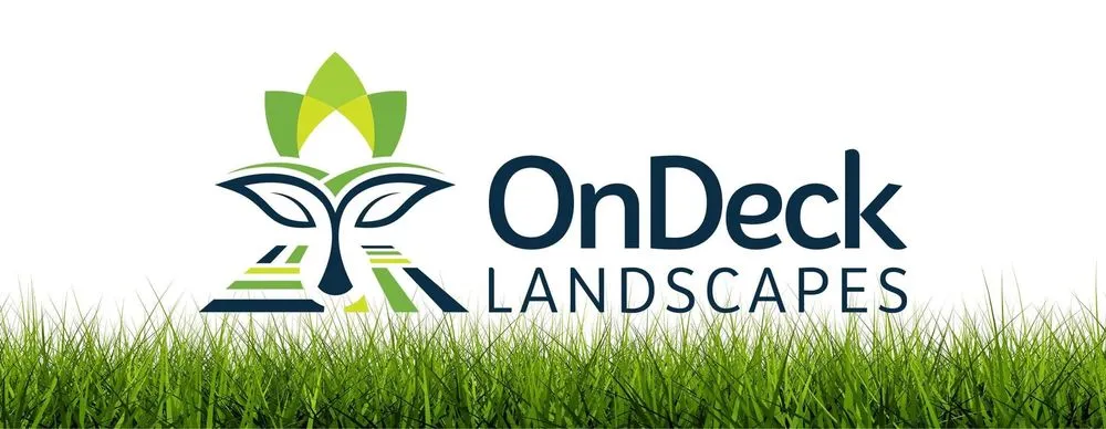 Reliable lawn care service for residential properties across Port St Joe, FL - OnDeck Landscapes
