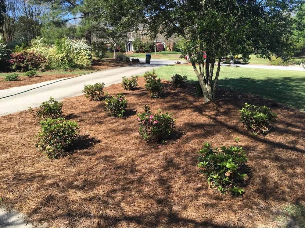 Professional yard maintenance for beautiful yards in Lexington, SC by One 12 Landscaping
