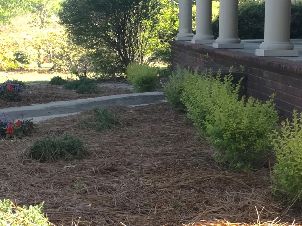 Reliable yard maintenance experts serving Lexington, SC - One 12 Landscaping