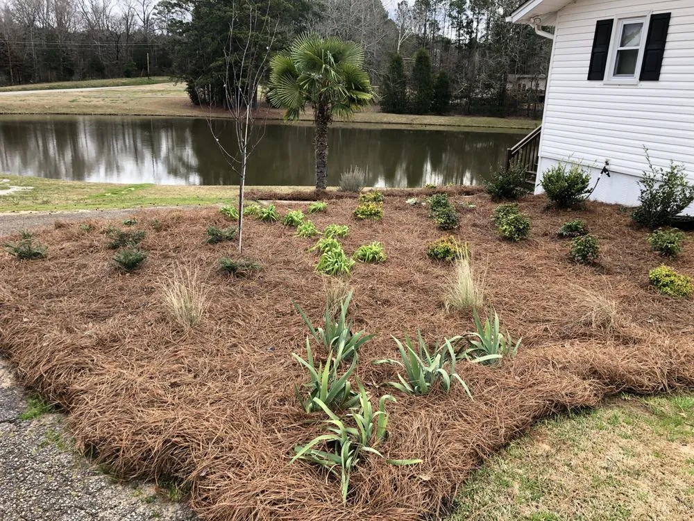 Custom yard maintenance for year-round maintenance in Lexington, SC by One 12 Landscaping