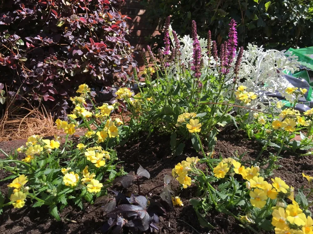 Trusted landscape design in Lexington, SC by One 12 Landscaping