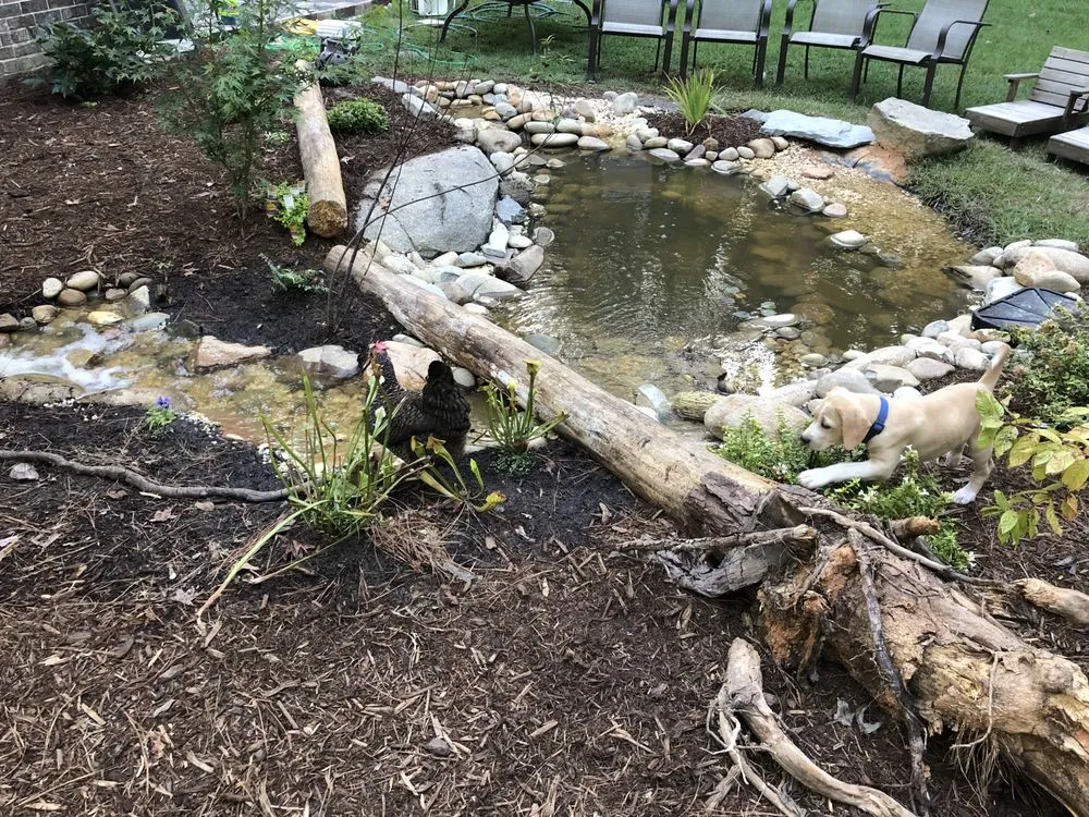 Local lawn care service in Lexington, SC - One 12 Landscaping