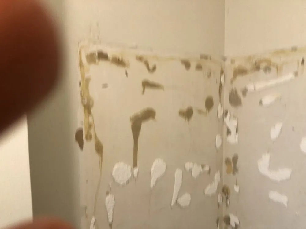 Affordable yard cleanup service for homes in Albuquerque, NM by One Above Legacy