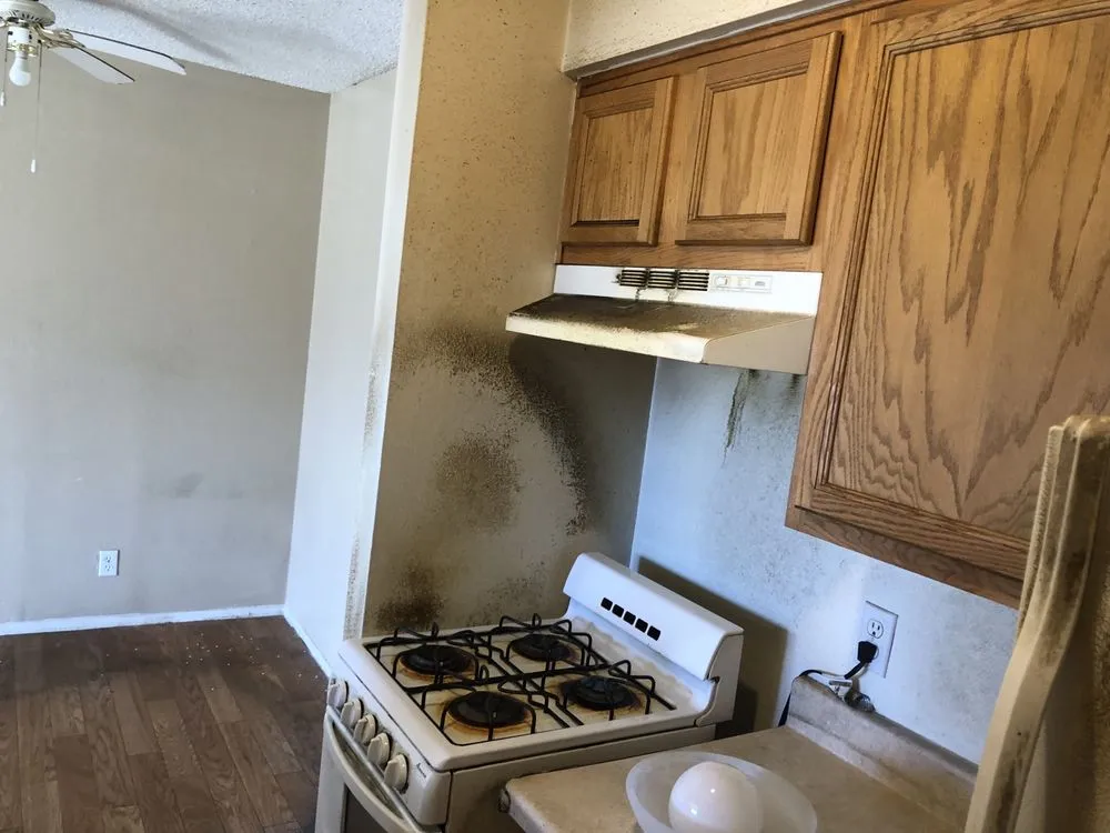 Custom garden landscaping in Albuquerque, NM - One Above Legacy