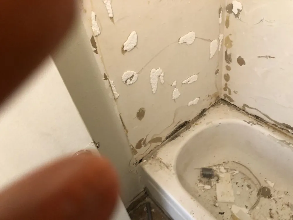 Professional lawn mowing service for homes in Albuquerque, NM by One Above Legacy