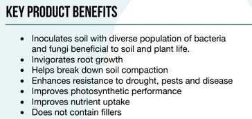 Custom yard cleanup service in Keller, TX - One Awesome Dad