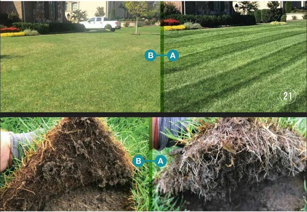 Local garden landscaping for beautiful yards across Keller, TX - One Awesome Dad