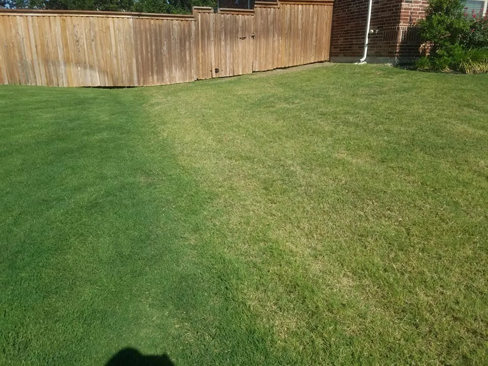 Top-rated residential landscaping with custom design in Keller, TX by One Awesome Dad