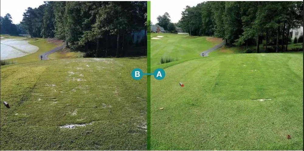 Professional garden landscaping with custom design in Keller, TX by One Awesome Dad