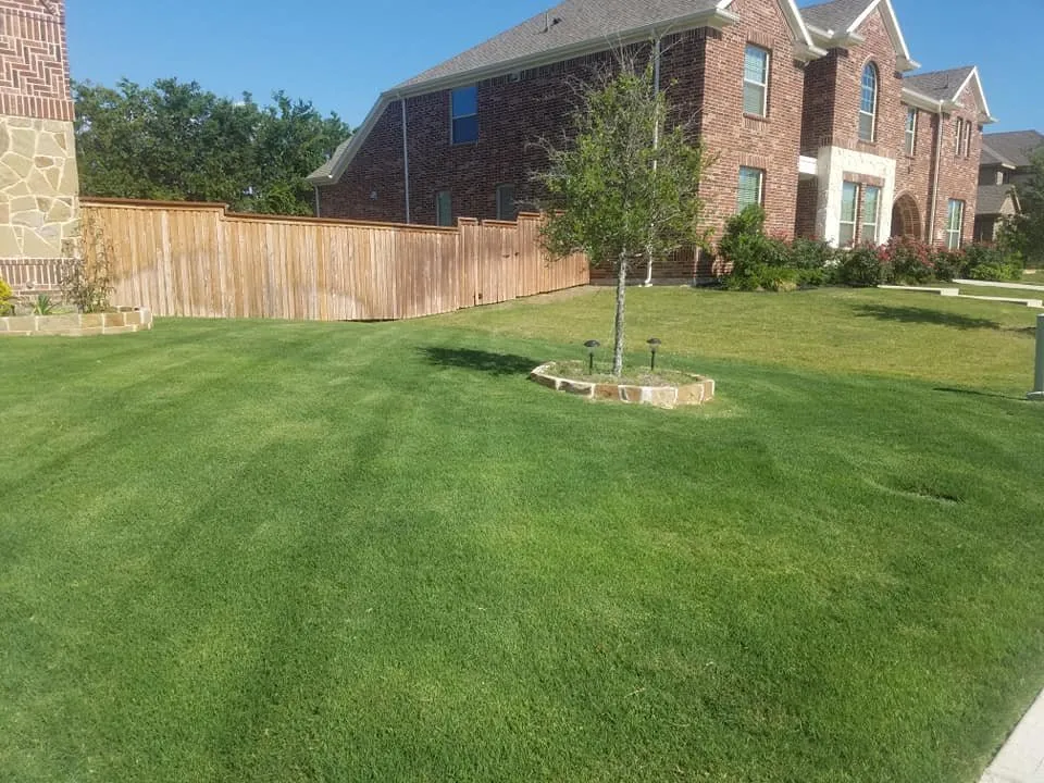 Expert lawn care service in Keller, TX - One Awesome Dad