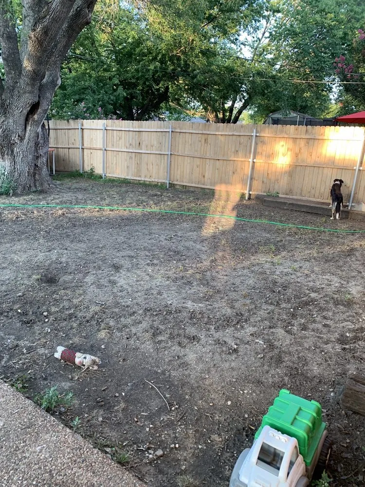 Affordable yard cleanup service in Keller, TX - One Awesome Dad