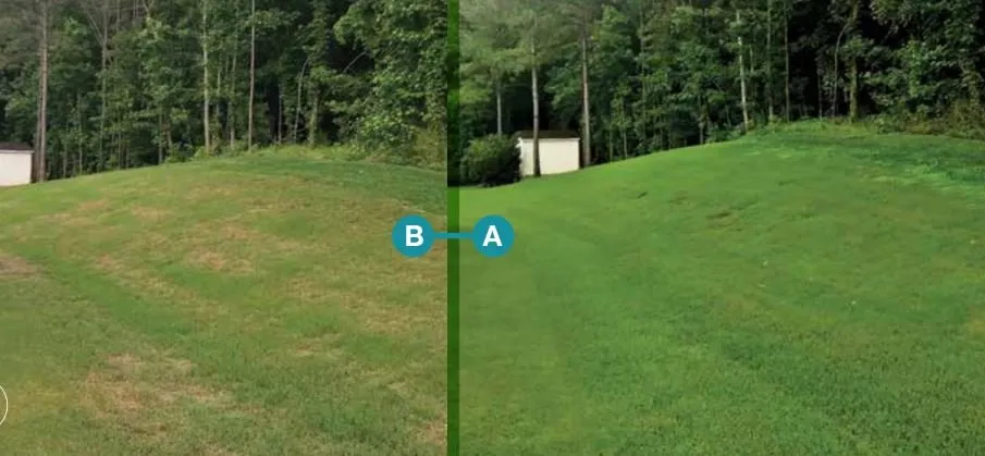 Trusted lawn care service for homes in Keller, TX by One Awesome Dad